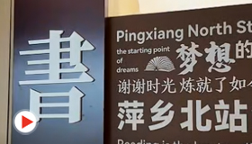 文韻伴旅途 丹青潤萍城